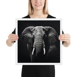 Eyes of the Wild: The Elephant's Gaze