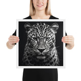 Eyes of the Wild: The Jaguar's Gaze