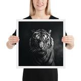 Eyes of the Wild: The Tiger's Gaze