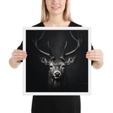 Eyes of the Wild: The Deer's Gaze
