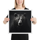 Eyes of the Wild: The Bear's Gaze