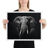 Eyes of the Wild: The Elephant's Gaze