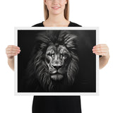Eyes of the Wild: The Lion's Gaze