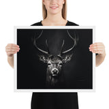 Eyes of the Wild: The Deer's Gaze