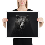 Eyes of the Wild: The Bear's Gaze