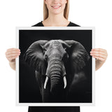 Eyes of the Wild: The Elephant's Gaze