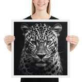 Eyes of the Wild: The Jaguar's Gaze