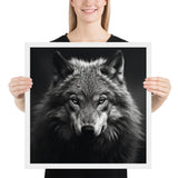 Eyes of the Wild: The Wolf's Gaze