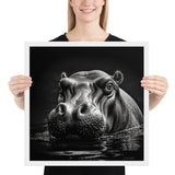 Eyes of the Wild: The Hippopotamus's Gaze