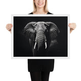 Eyes of the Wild: The Elephant's Gaze