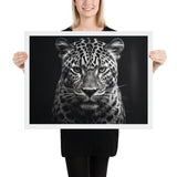 Eyes of the Wild: The Jaguar's Gaze
