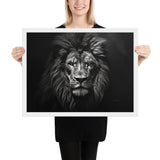 Eyes of the Wild: The Lion's Gaze