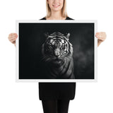 Eyes of the Wild: The Tiger's Gaze