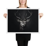 Eyes of the Wild: The Deer's Gaze