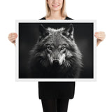 Eyes of the Wild: The Wolf's Gaze