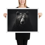 Eyes of the Wild: The Bear's Gaze