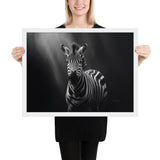 Eyes of the Wild: The Zebra's Gaze