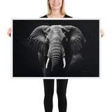 Eyes of the Wild: The Elephant's Gaze