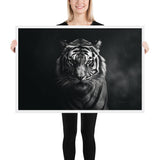 Eyes of the Wild: The Tiger's Gaze