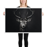 Eyes of the Wild: The Deer's Gaze
