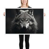 Eyes of the Wild: The Wolf's Gaze
