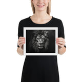 Eyes of the Wild: The Lion's Gaze