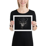 Eyes of the Wild: The Deer's Gaze