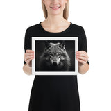 Eyes of the Wild: The Wolf's Gaze