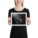 Eyes of the Wild: The Zebra's Gaze