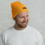 Bear Beanie
